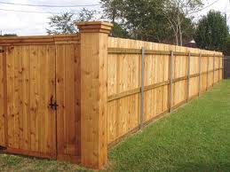 fence